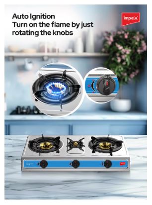 EcoHeat Stove