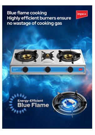 EcoHeat Stove
