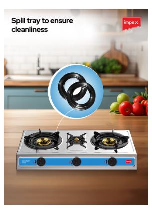 EcoHeat Stove